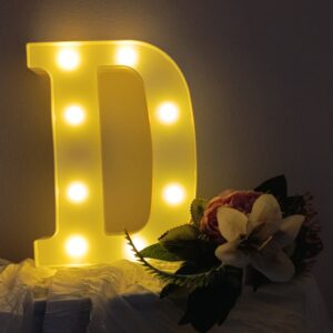 LED písmeno D
