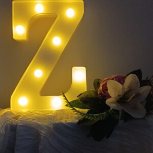 LED písmeno Z