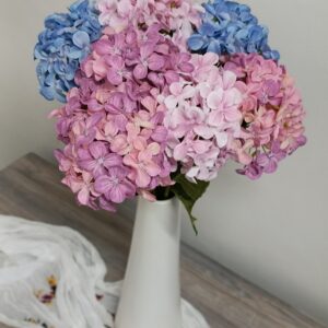 Hortensie