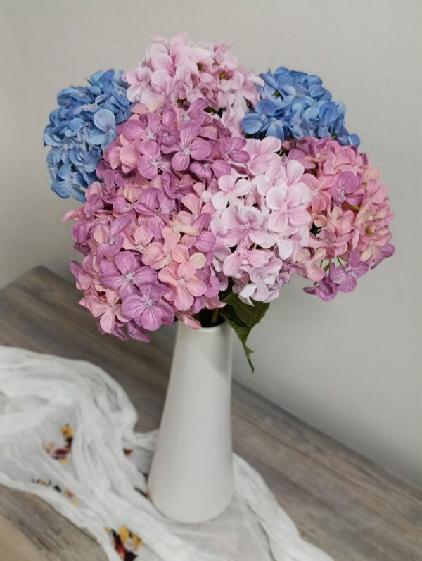 Hortensie