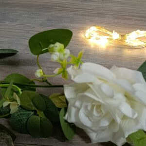 LED světelný řetěz 40
