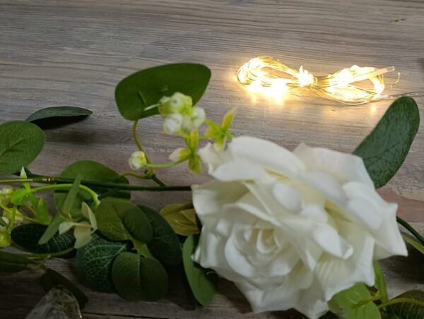 LED světelný řetěz 40
