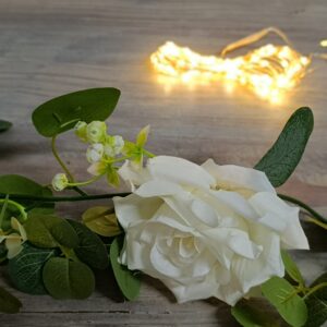 LED světelný řetěz 100