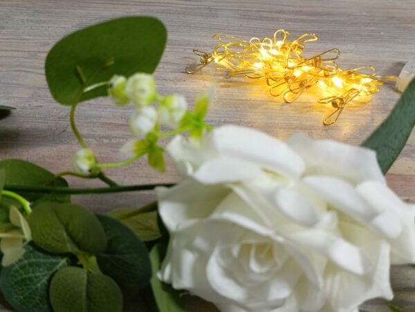LED světelný řetěz s kolíčky